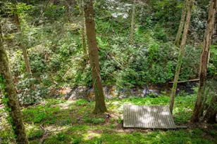180 Down Under Rd, Blue Ridge, GA 30513 - Photo 25