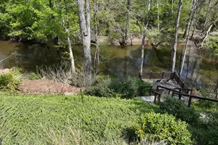 1082 River St, Bartow, GA 30413 - Photo 7