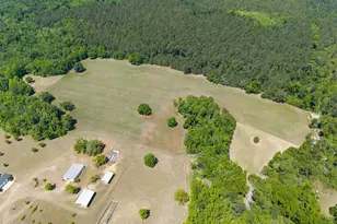 4194 Ivey S Ln, Millen, GA 30442 - Photo 57
