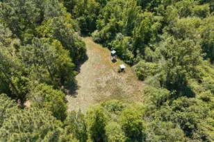 4194 Ivey S Ln, Millen, GA 30442 - Photo 55