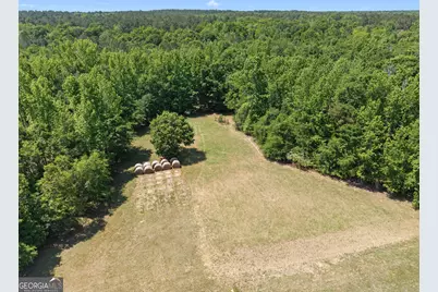 4194 Ivey S. Lane, Millen, GA 30442 - Photo 49