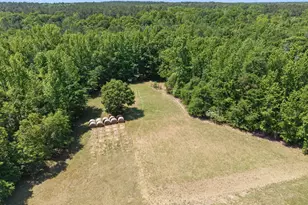 4194 Ivey S Ln, Millen, GA 30442 - Photo 49
