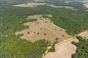 4194 Ivey S Ln, Millen, GA 30442 - Photo 59