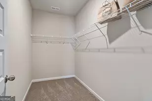 1396 Trellis Ct, Hampton, GA 30228 - Photo 29