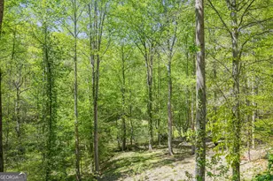 3617 Pea Ridge Rd, Cornelia, GA 30531 - Photo 67