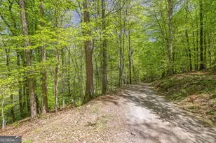 3617 Pea Ridge Rd, Cornelia, GA 30531 - Photo 79