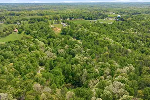 3617 Pea Ridge Rd, Cornelia, GA 30531 - Photo 101