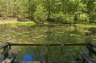 3617 Pea Ridge Rd, Cornelia, GA 30531 - Photo 3
