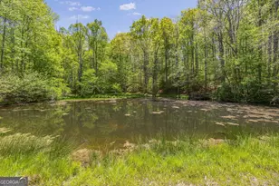 3617 Pea Ridge Rd, Cornelia, GA 30531 - Photo 77