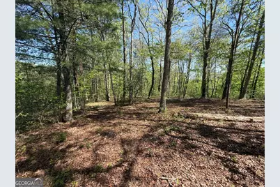 0 Windfield Circle #35, 36, Blue Ridge, GA 30513 - Photo 5