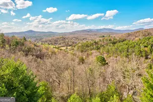425 Rhonda Ln, Mineral Bluff, GA 30559 - Photo 25