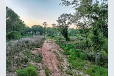 0 Zebulon Road, Milner, GA 30257 - Photo 21