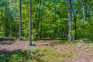 16 Acres Gun Club Rd, Buchanan, GA 30113 - Photo 1