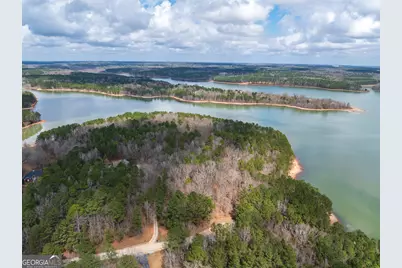 3+/- Acres Happy Hollow Road, Hampton, GA 30228 - Photo 17