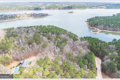 3+/- Acres Happy Hollow Road, Hampton, GA 30228 - Photo 7