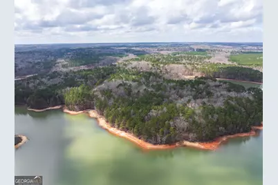 3+/- Acres Happy Hollow Road, Hampton, GA 30228 - Photo 23