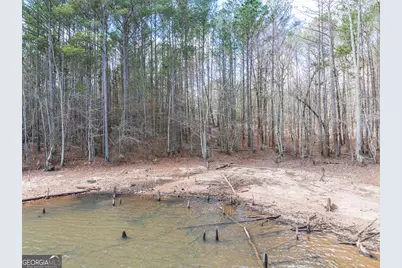 3+/- Acres Happy Hollow Road, Hampton, GA 30228 - Photo 37