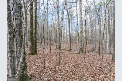 3+/- Acres Happy Hollow Road, Hampton, GA 30228 - Photo 35