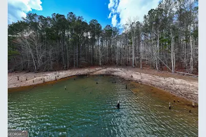 3+/- Acres Happy Hollow Road, Hampton, GA 30228 - Photo 25