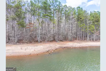 3+/- Acres Happy Hollow Road, Hampton, GA 30228 - Photo 13