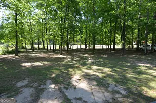 3478 Hwy 81 W, Hampton, GA 30228 - Photo 19