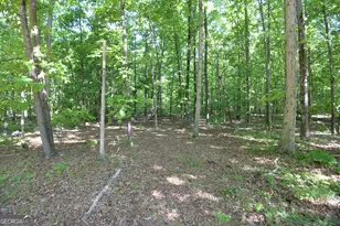 3478 Hwy 81 W, Hampton, GA 30228 - Photo 21