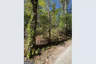 0 Western Way, Rabun Gap, GA 30568 - Photo 7