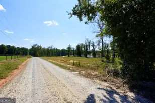 0 Walters Rd, Barnesville, GA 30204 - Photo 11
