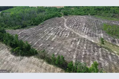 0 Bunn Store Road #TRACT 4, Midville, GA 30441 - Photo 11