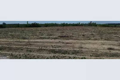 0 Bunn Store Road #TRACT 4, Midville, GA 30441 - Photo 15