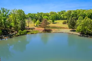 3256 Chalybeate Springs Rd, Woodland, GA 31836 - Photo 71