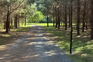 3256 Chalybeate Springs Rd, Woodland, GA 31836 - Photo 7