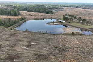 Tract 1 Sand Hill Rd, Swainsboro, GA 30401 - Photo 5