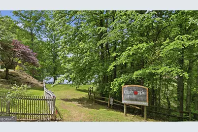 122 Plantation Trace, Woodstock, GA 30188 - Photo 69