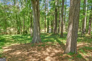 227 Capri Dr, Hartwell, GA 30643 - Photo 55