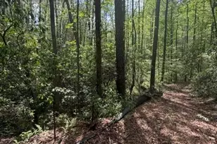 348 Hemlock Trl, Ellijay, GA 30540 - Photo 5