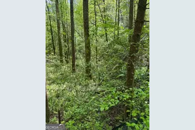 348 Hemlock Trail, Ellijay, GA 30540 - Photo 7