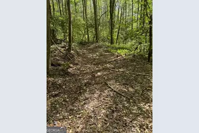 348 Hemlock Trail, Ellijay, GA 30540 - Photo 25