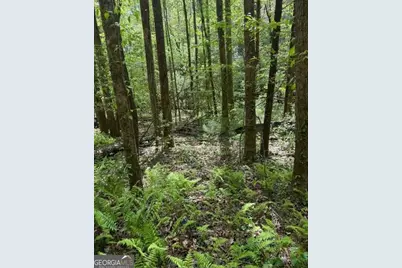 348 Hemlock Trail, Ellijay, GA 30540 - Photo 29