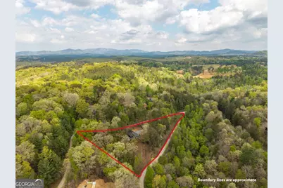 250 Wolf Creek Circle #41, Mineral Bluff, GA 30559 - Photo 45