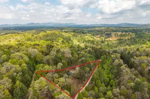 250 Wolf Creek Circle, Mineral Bluff, GA 30559 - Photo 45