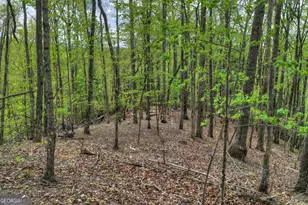 660 Ripshin Mountain Rd, Blue Ridge, GA 30513 - Photo 35