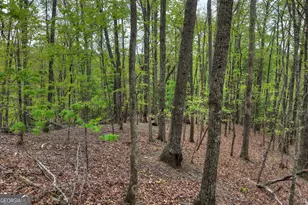 660 Ripshin Mountain Rd, Blue Ridge, GA 30513 - Photo 33