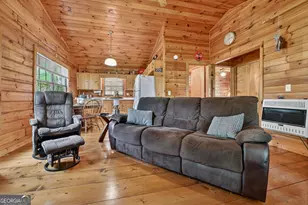 660 Ripshin Mountain Rd, Blue Ridge, GA 30513 - Photo 5
