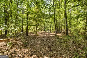 210 Mockingbird Ln, Brooks, GA 30205 - Photo 69