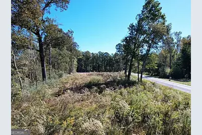 800 Hairl Lake Road, Summerville, GA 30747 - Photo 5