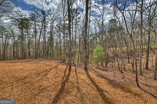 191 Hilton Dr, Ellijay, GA 30540 - Photo 11