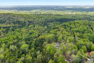 674 Pine Ln, Warm Springs, GA 31830 - Photo 33