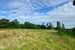 1229 Mark Wood Rd, Dexter, GA 31019 - Photo 27