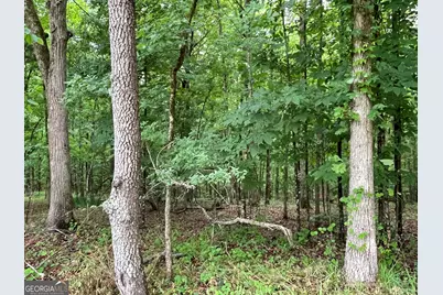 837 Bartram Trace Road, Rayle, GA 30660 - Photo 67
